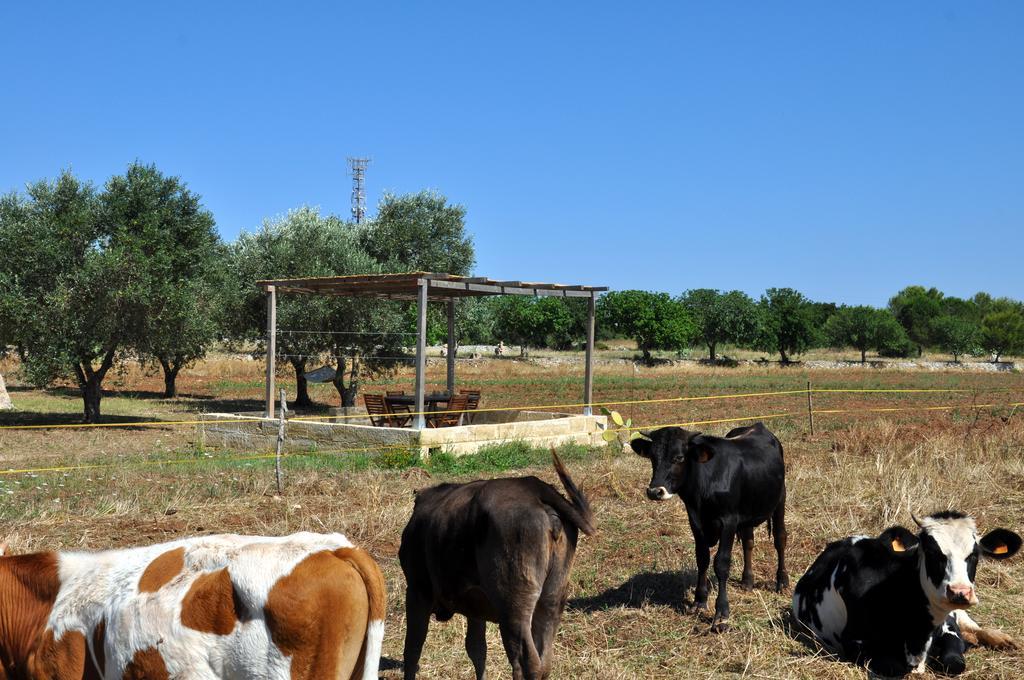 Masseria Uccio Tricase Zewnętrze zdjęcie