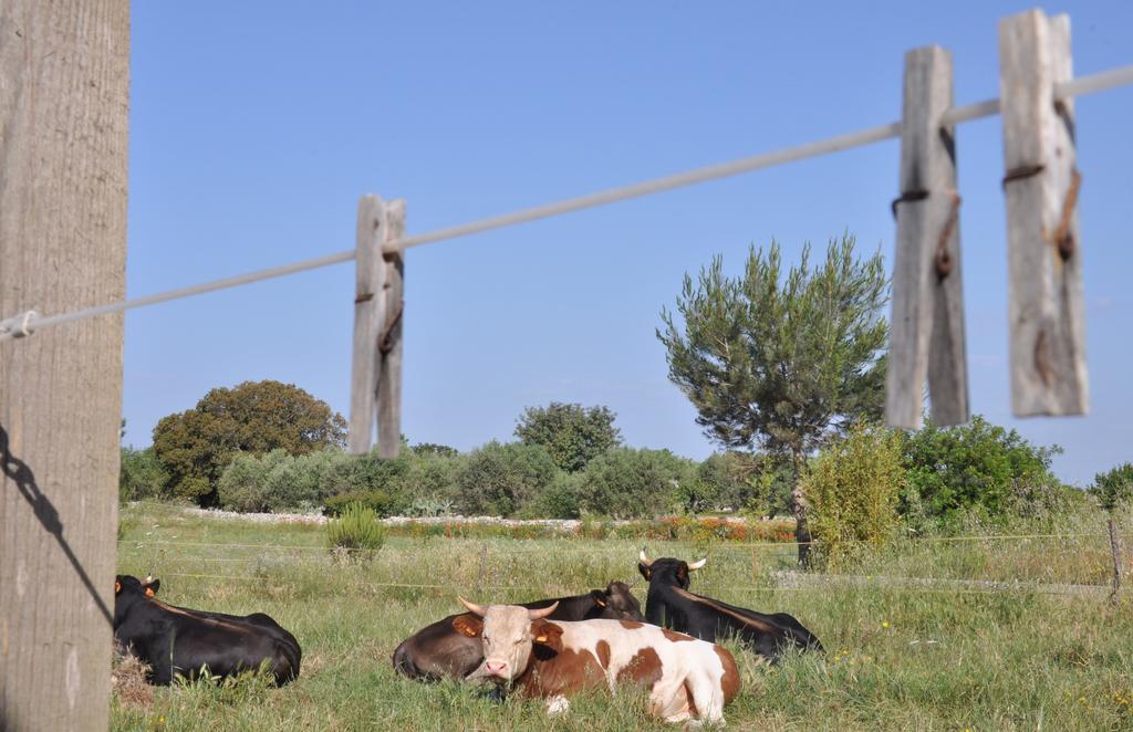 Masseria Uccio Tricase Zewnętrze zdjęcie