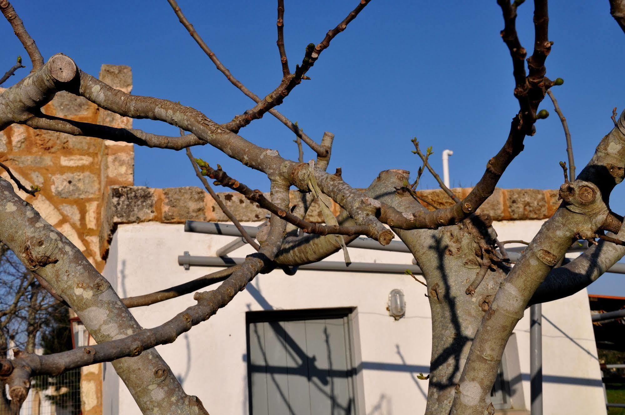 Masseria Uccio Tricase Zewnętrze zdjęcie